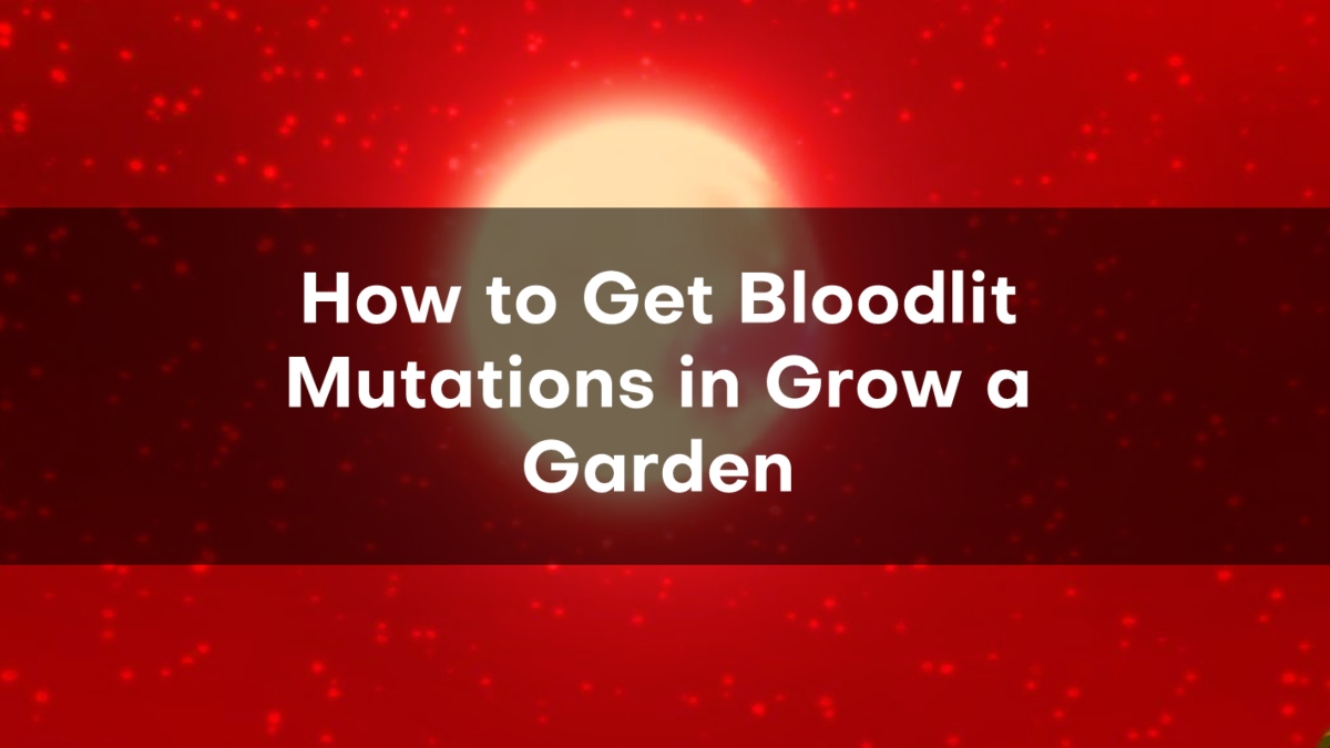 Как получить мутацию Bloodlit в игре Grow a Garden