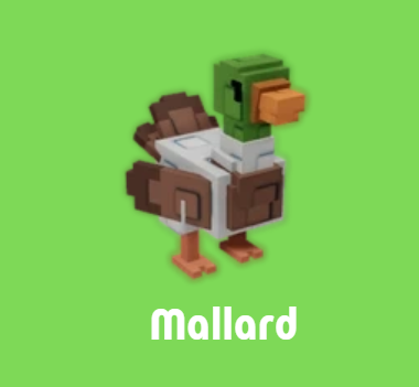 mallard in Grow a Garden